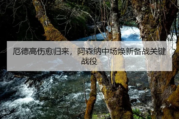 厄德高伤愈归来，阿森纳中场焕新备战关键战役
