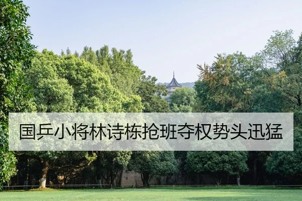 国乒小将林诗栋抢班夺权势头迅猛